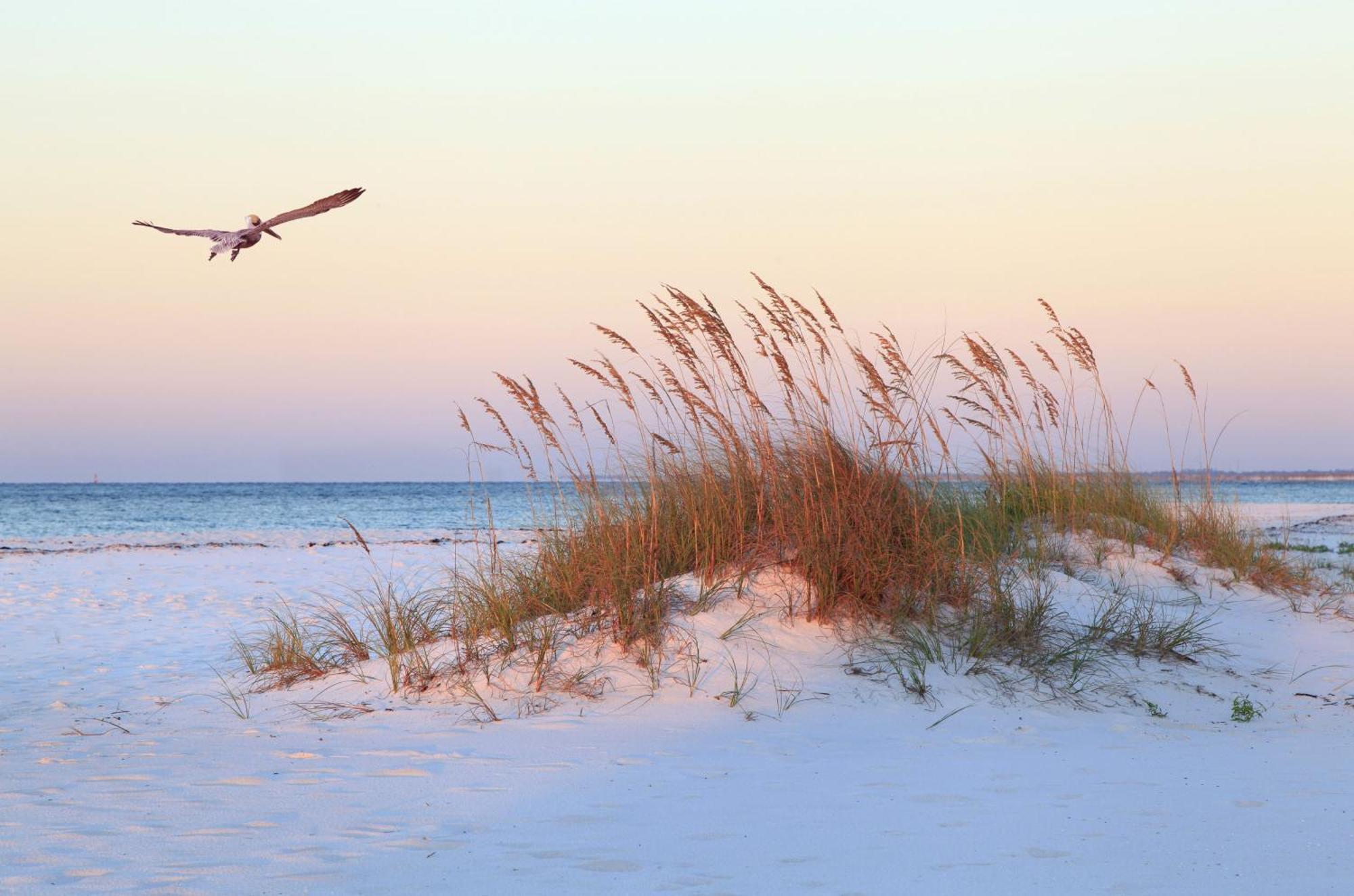 11 Dinghy Villa Hilton Head Island Bagian luar foto